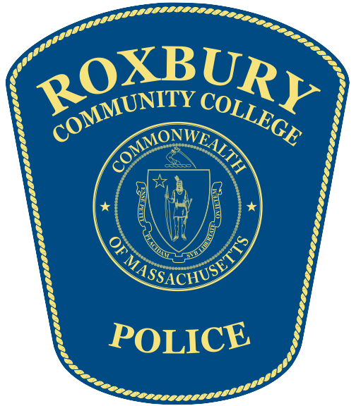 RCC Public Safety Badge