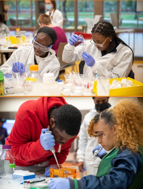 students working in a science lab environment, filling small containers with different substances